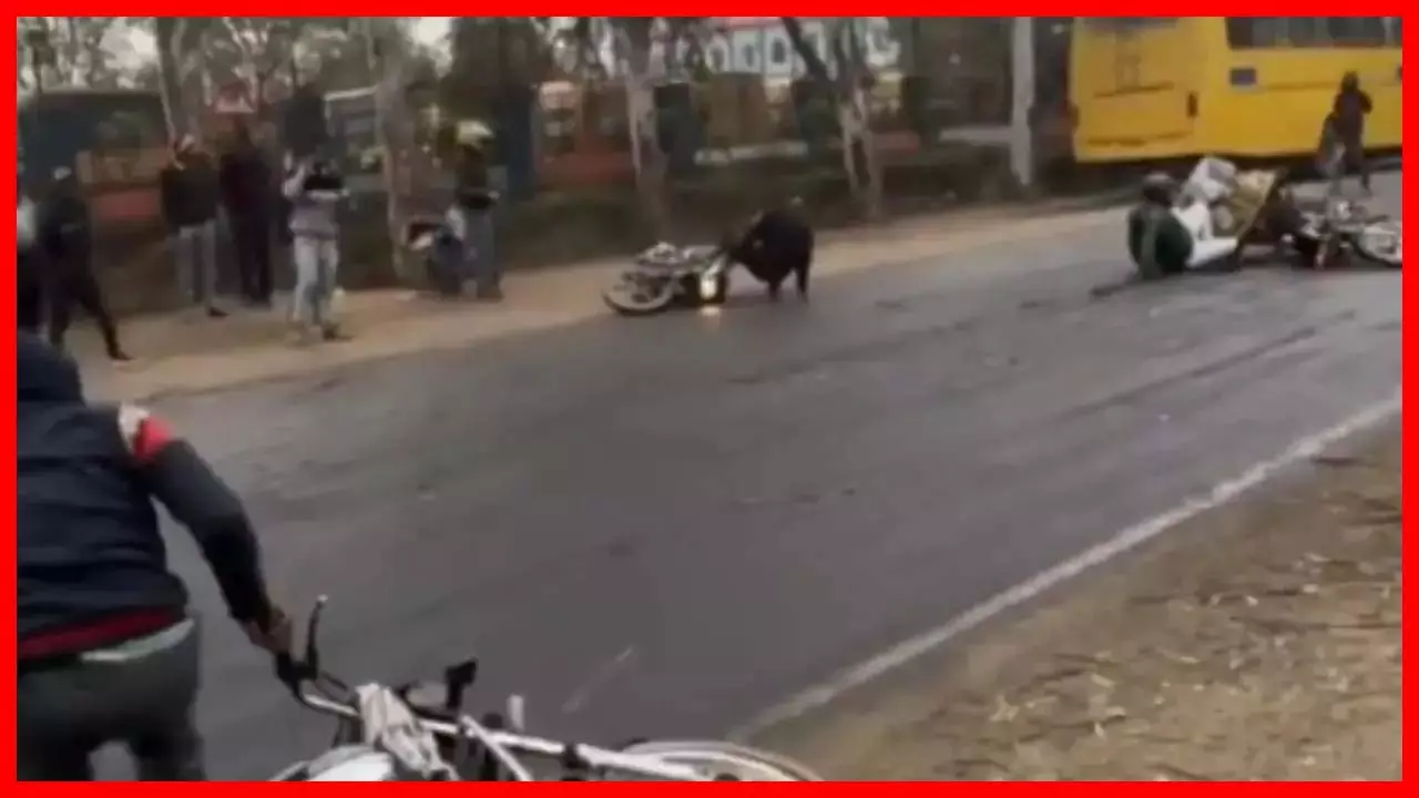 OMG ये क्या हो रहा! एक के बाद एक सड़क पर गिरती रहीं बाइकें! LIVE वीडियो... OMG ये क्या हो रहा! एक के बाद एक सड़क पर गिरती रहीं बाइकें! LIVE वीडियो...