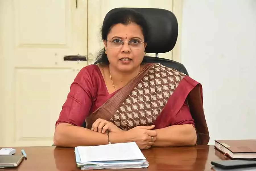 फूल और फलों की कलाकृति में थिम्मक्का की मूर्ति: Gayatri फूल और फलों की कलाकृति में थिम्मक्का की मूर्ति: Gayatri