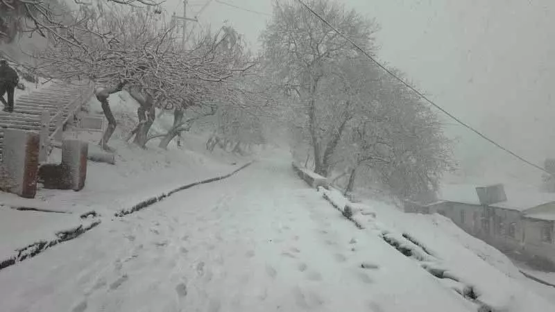 Kasauli, चैल, डगशाई में सफेद आवरण है Kasauli, चैल, डगशाई में सफेद आवरण है