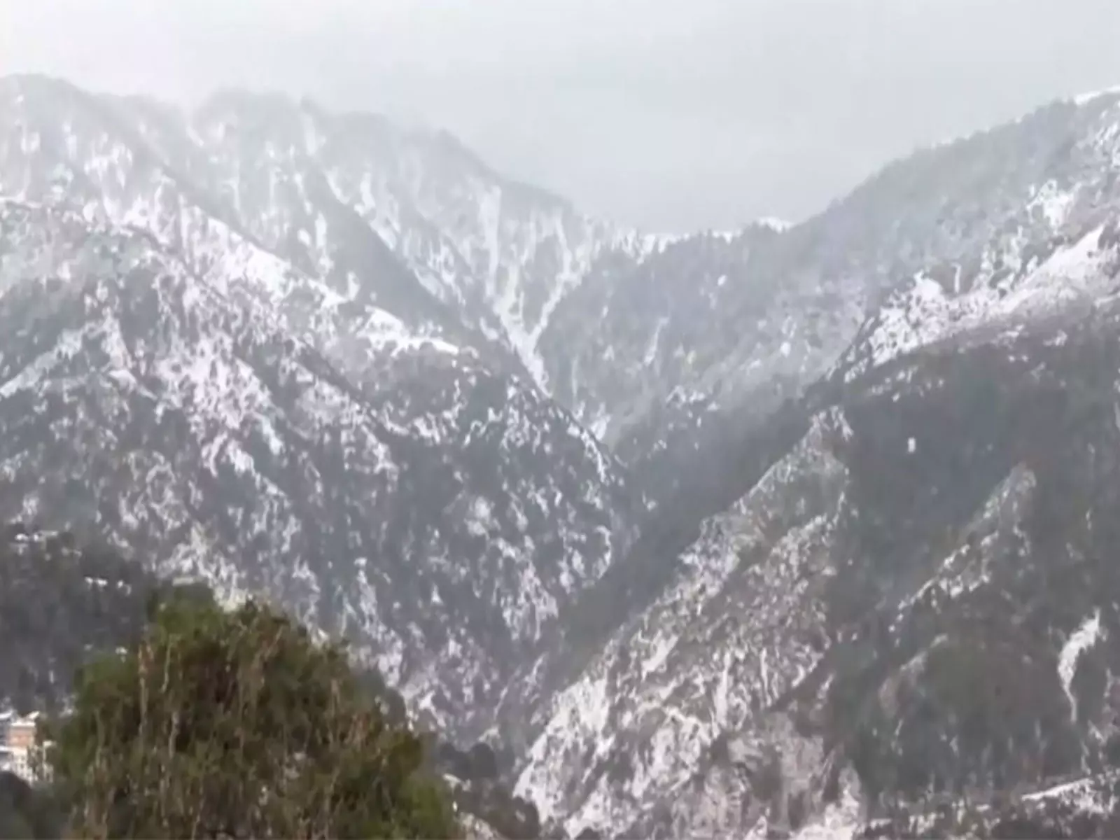 Himachal: धर्मशाला-मनाली में भारी बर्फबारी, पर्यटक खुश Himachal: धर्मशाला-मनाली में भारी बर्फबारी, पर्यटक खुश