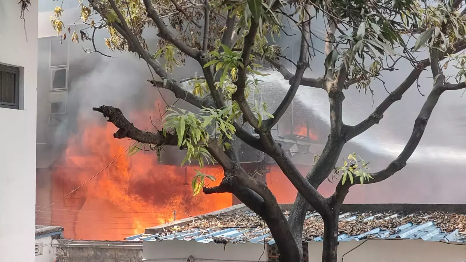 Nampally में फर्नीचर की दुकान में भीषण आग लगी, दो बच्चों के फंसे होने की आशंका Nampally में फर्नीचर की दुकान में भीषण आग लगी, दो बच्चों के फंसे होने की आशंका