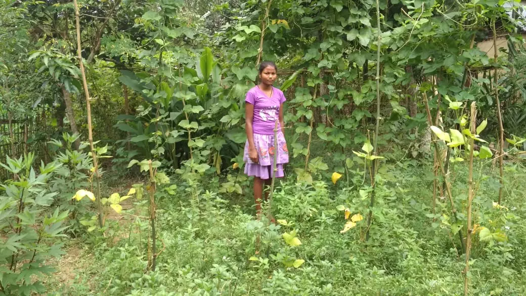 Assam: गुवाहाटी में पैनल चर्चा में स्वदेशी खाद्य प्रणालियों पर ध्यान केंद्रित किया Assam: गुवाहाटी में पैनल चर्चा में स्वदेशी खाद्य प्रणालियों पर ध्यान केंद्रित किया