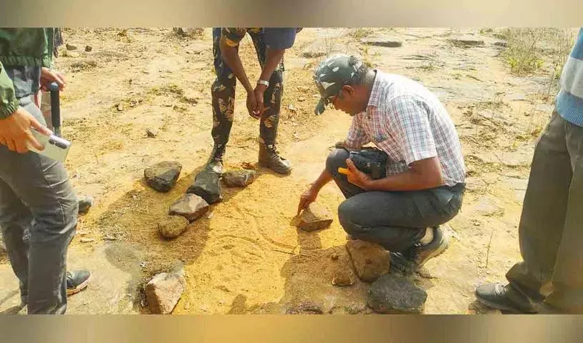 Mancherial जिले के जन्नाराम डिवीजन के तल्लापेट रेंज में बाघ के पैरों के निशान मिले Mancherial जिले के जन्नाराम डिवीजन के तल्लापेट रेंज में बाघ के पैरों के निशान मिले