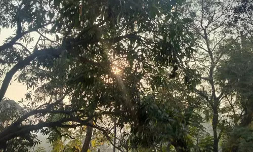 आज छत्तीसगढ़ में मौसम शुष्क रहेगा