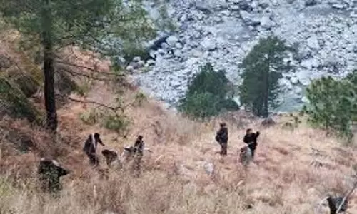 Shimla: गहरी खाई में गिरने से 30 वर्षीय युवक की मौत Shimla: गहरी खाई में गिरने से 30 वर्षीय युवक की मौत