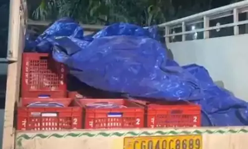 नकली दही! पिकअप से सप्लाई किया जा रहा था कि ग्रामीणों ने पकड़ा