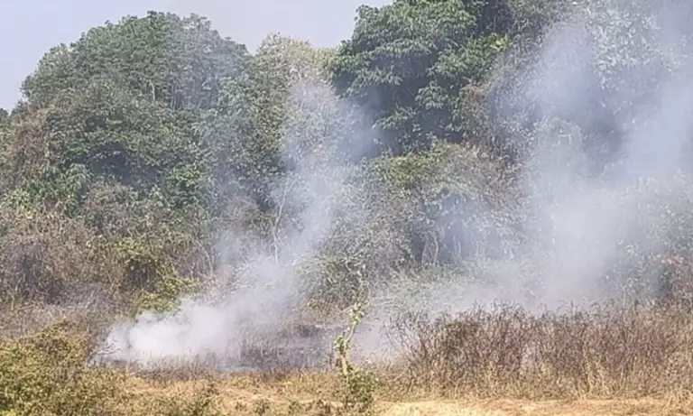 Assam: नाज़िरेटिंग जंगल की आग पर डूमडूमा स्टाफ पर लापरवाही का आरोप