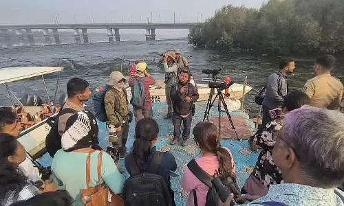 Mangrove सेल ने मुंबई मेट्रोपॉलिटन क्षेत्र में एशियाई जलपक्षी जनगणना की Mangrove सेल ने मुंबई मेट्रोपॉलिटन क्षेत्र में एशियाई जलपक्षी जनगणना की
