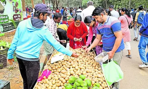 GKVK परिसर में किसान मेला: ताज़े फल, मशरूम ने आगंतुकों को आकर्षित किया GKVK परिसर में किसान मेला: ताज़े फल, मशरूम ने आगंतुकों को आकर्षित किया