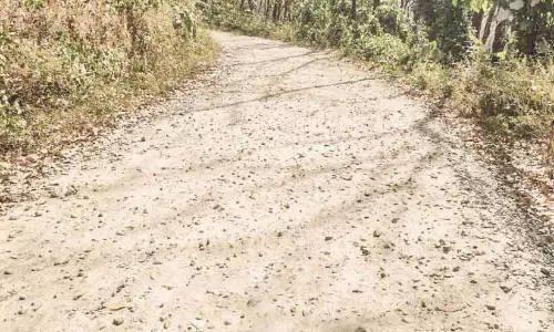 वल्लियामकावु सड़क ढही; देश में यात्रा बाधित
