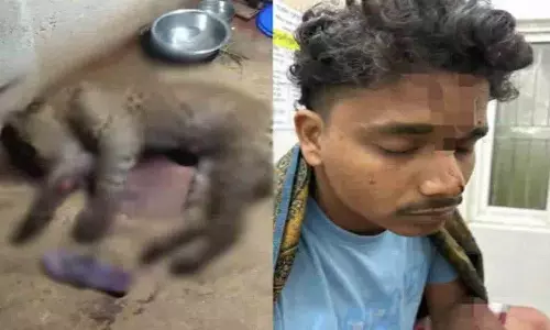 Odisha में एक आदमी ने उस तेंदुए को मार डाला जिसने उस पर और उसके पालतू कुत्ते पर हमला किया Odisha में एक आदमी ने उस तेंदुए को मार डाला जिसने उस पर और उसके पालतू कुत्ते पर हमला किया