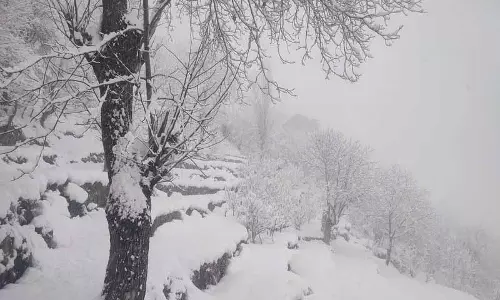 Himachal: बागों के वैज्ञानिक मैनेजमेंट के लिए यह अच्छा समय है, निदेशक, बागवानी विभाग Himachal: बागों के वैज्ञानिक मैनेजमेंट के लिए यह अच्छा समय है, निदेशक, बागवानी विभाग