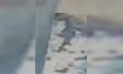 मौत के आगोश में समा गया मासूम...रोंगटे खड़े करने वाला  CCTV वीडियो सामने आया