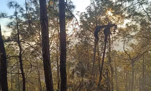 बर्फबारी और तेज़ हवाओं से Solan में बिजली गुल बर्फबारी और तेज़ हवाओं से Solan में बिजली गुल