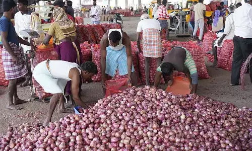 Onion की कीमतें अचानक गिरकर ₹1,100 हुईं: प्याज उत्पादक हैरान