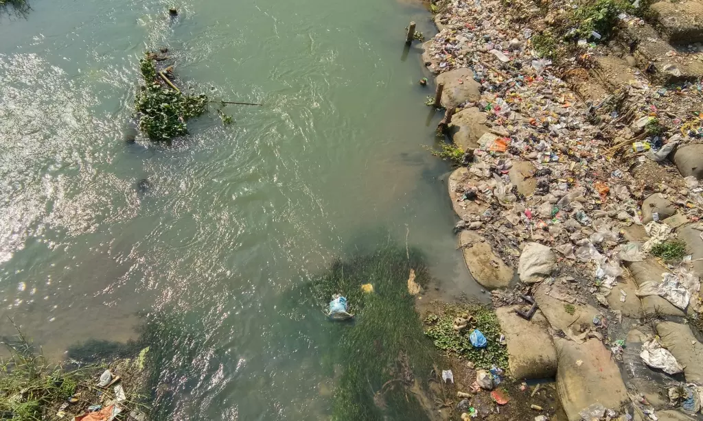 Assam में वेलकम गेट का उद्घाटन, पर्यावरणीय चिंताओं के बीच