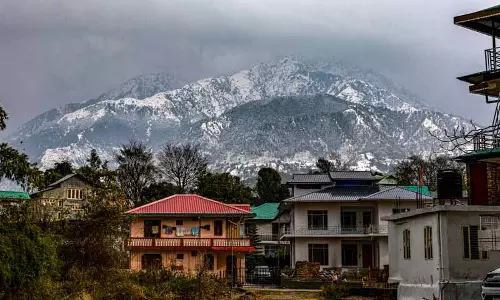 Palampur में 10 साल बाद बर्फ गिरी, कांगड़ा घाटी ने सफेद चादर ओढ़ ली Palampur में 10 साल बाद बर्फ गिरी, कांगड़ा घाटी ने सफेद चादर ओढ़ ली