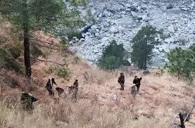 Shimla: गहरी खाई में गिरने से 30 वर्षीय युवक की मौत Shimla: गहरी खाई में गिरने से 30 वर्षीय युवक की मौत