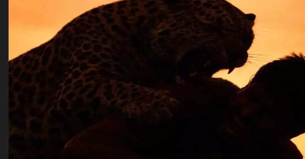 Human-animal conflict : खेत में घुस आए तेंदुए को युवक ने मार डाला Human-animal conflict : खेत में घुस आए तेंदुए को युवक ने मार डाला