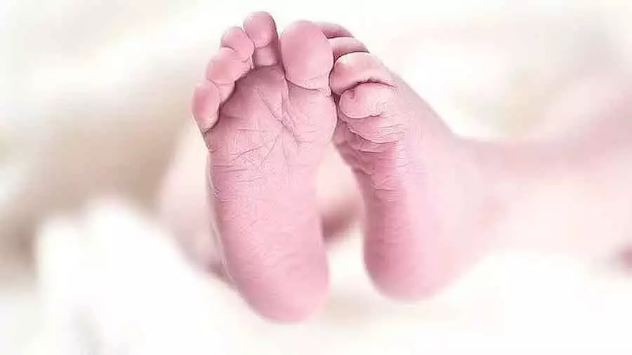 Kerala के पथानामथिट्टा में सड़क किनारे एक ढाबे पर नवजात बच्चा लावारिस मिला Kerala के पथानामथिट्टा में सड़क किनारे एक ढाबे पर नवजात बच्चा लावारिस मिला