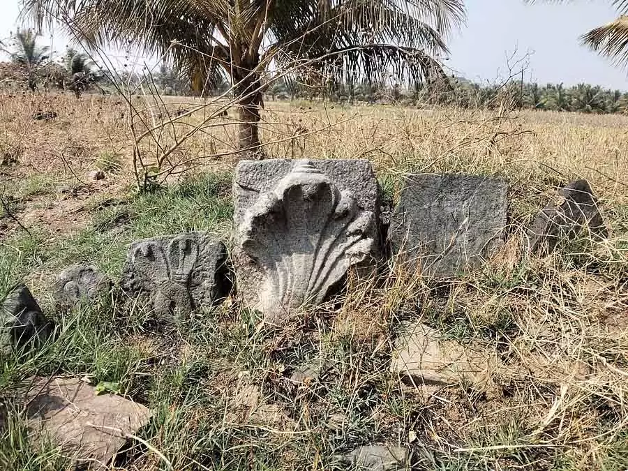 Lakkundi में नौवें दिन भी खुदाई जारी: 7 सिर वाला कोबरा पत्थर मिला Lakkundi में नौवें दिन भी खुदाई जारी: 7 सिर वाला कोबरा पत्थर मिला