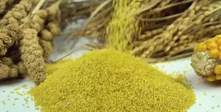 मन की बात: मिलेट्स को लेकर बोले पीएम मोदी- ये परंपरा, सेहत और रोजगार को एक साथ जोड़ रहा मन की बात: मिलेट्स को लेकर बोले पीएम मोदी- ये परंपरा, सेहत और रोजगार को एक साथ जोड़ रहा