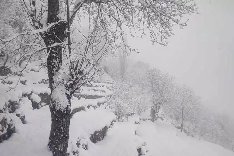 Himachal: बागों के वैज्ञानिक मैनेजमेंट के लिए यह अच्छा समय है, निदेशक, बागवानी विभाग Himachal: बागों के वैज्ञानिक मैनेजमेंट के लिए यह अच्छा समय है, निदेशक, बागवानी विभाग