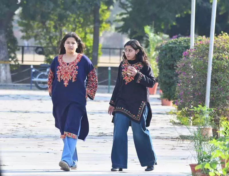 बारिश के बाद, चल रही शीतलहर के बीच Ludhiana में धूप निकली बारिश के बाद, चल रही शीतलहर के बीच Ludhiana में धूप निकली