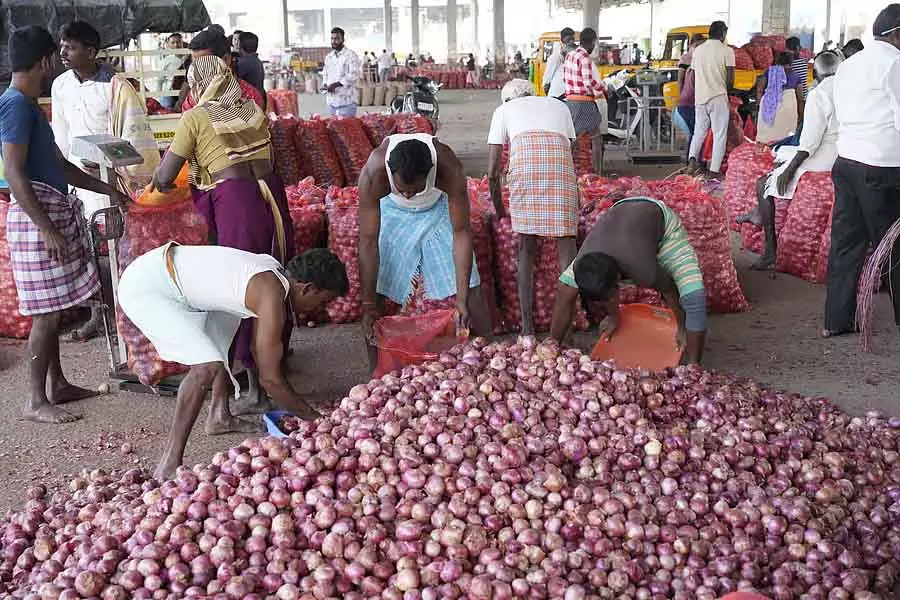 Onion की कीमतें अचानक गिरकर ₹1,100 हुईं: प्याज उत्पादक हैरान Onion की कीमतें अचानक गिरकर ₹1,100 हुईं: प्याज उत्पादक हैरान
