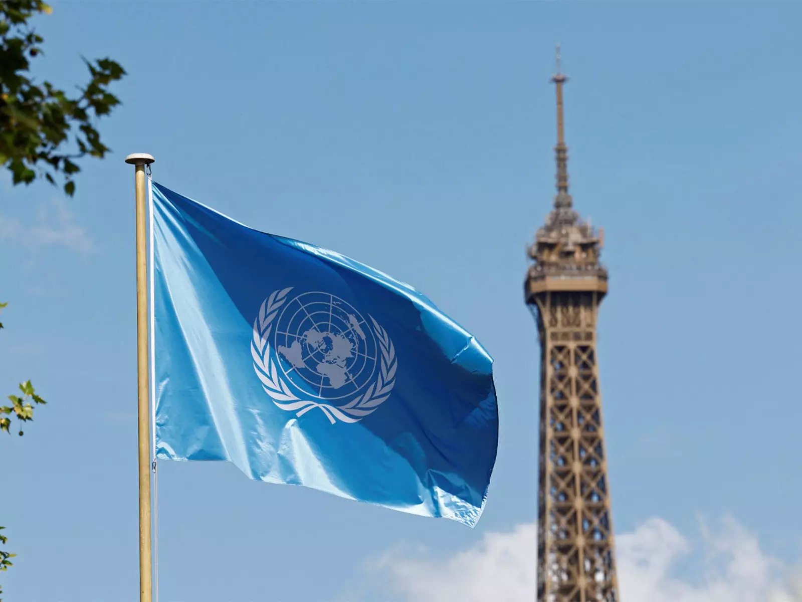 UNESCO ने वियतनाम की विरासत की रक्षा के लिए आपातकालीन सहायता प्रदान की UNESCO ने वियतनाम की विरासत की रक्षा के लिए आपातकालीन सहायता प्रदान की