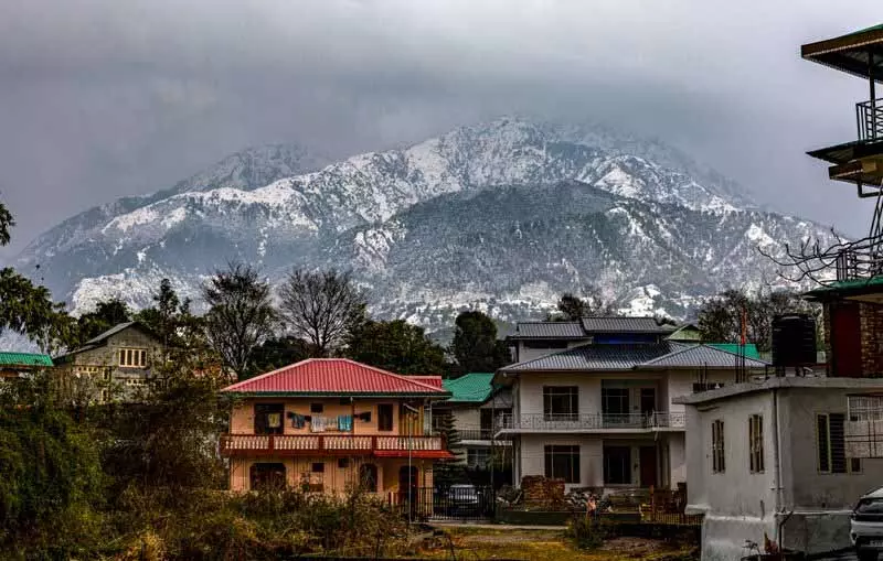 Palampur में 10 साल बाद बर्फ गिरी, कांगड़ा घाटी ने सफेद चादर ओढ़ ली Palampur में 10 साल बाद बर्फ गिरी, कांगड़ा घाटी ने सफेद चादर ओढ़ ली
