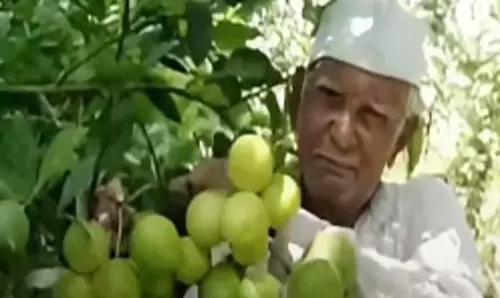 किसान को पद्मश्री पुरस्कार, विलुप्त हो चुकी सब्जियों की खेती को दिया बढ़ावा