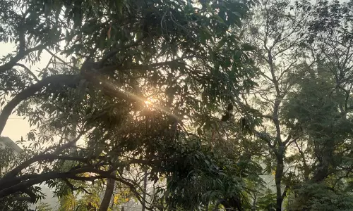 ठंड से राहत मिलना शुरू, तापमान में हो रही बढ़ोतरी