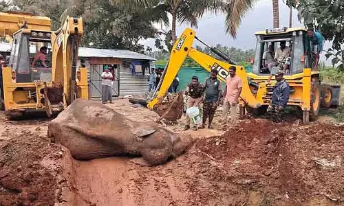 Coimbatore में कीचड़ में फंसे जंगली हाथी को 3 घंटे की मशक्कत के बाद बचाया गया