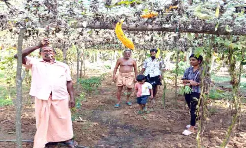 Kerala : नदी में बाढ़ से फसलें खराब हुई, किसान परेशान Kerala : नदी में बाढ़ से फसलें खराब हुई, किसान परेशान