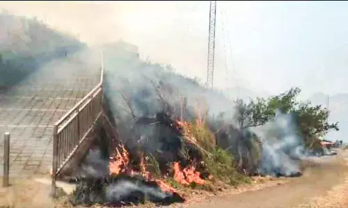 Kerala : इल्लिककल्लू में आग लगने से पर्यटक दहशत में Kerala : इल्लिककल्लू में आग लगने से पर्यटक दहशत में