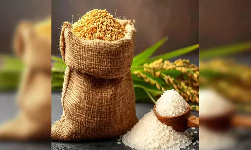 चावल या गेहूं, जानें कौन है सेहत के लिए फायदेमंद और हानिकारक? चावल या गेहूं, जानें कौन है सेहत के लिए फायदेमंद और हानिकारक?