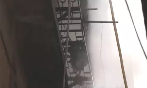Kolkata के मुल्लिक बाजार स्थित एक आवासीय अपार्टमेंट में आग लगी, कोई घायल नहीं हुआ Kolkata के मुल्लिक बाजार स्थित एक आवासीय अपार्टमेंट में आग लगी, कोई घायल नहीं हुआ