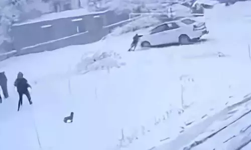 भारी बर्फबारी से Manali में जनजीवन ठप हो गया