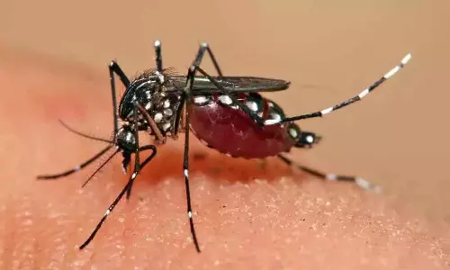 Hyderabad में डेंगू कंट्रोल: केंद्र ने की तारीफ Hyderabad में डेंगू कंट्रोल: केंद्र ने की तारीफ