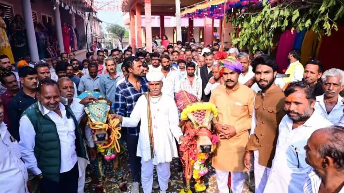 MP : हाटपिपलिया में गांव वालों ने मिलकर गाय की शानदार शादी मनाई MP : हाटपिपलिया में गांव वालों ने मिलकर गाय की शानदार शादी मनाई
