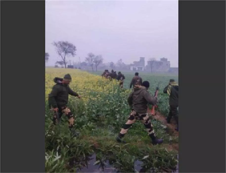 Punjab: बॉर्डर एरिया में संदिग्ध चीज ने मचाई हलचल, BSF का सर्च ऑपरेशन जारी Punjab: बॉर्डर एरिया में संदिग्ध चीज ने मचाई हलचल, BSF का सर्च ऑपरेशन जारी