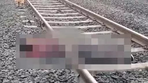 MP : पढ़ाई को लेकर डांट पड़ने के बाद, सिंगरौली में रेलवे ट्रैक पर छात्र का शव टुकड़ों में मिला MP : पढ़ाई को लेकर डांट पड़ने के बाद, सिंगरौली में रेलवे ट्रैक पर छात्र का शव टुकड़ों में मिला