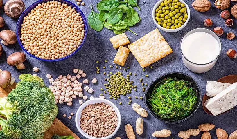 अगर आप Protein लेना चाहते हैं तो आप ये शाकाहारी खाना भी खा सकते अगर आप Protein लेना चाहते हैं तो आप ये शाकाहारी खाना भी खा सकते