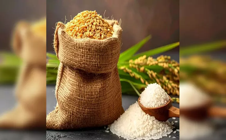 चावल या गेहूं, जानें कौन है सेहत के लिए फायदेमंद और हानिकारक? चावल या गेहूं, जानें कौन है सेहत के लिए फायदेमंद और हानिकारक?