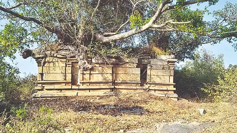 Krishnagiri: 900 साल पुराना बाद के चोल-युग का शिव मंदिर मिला Krishnagiri: 900 साल पुराना बाद के चोल-युग का शिव मंदिर मिला