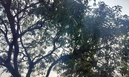 छत्तीसगढ़ : कल बारिश होने के आसार