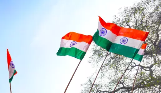 Nellore के लड़के ने रूबिक क्यूब्स से देशभक्ति दिखाई