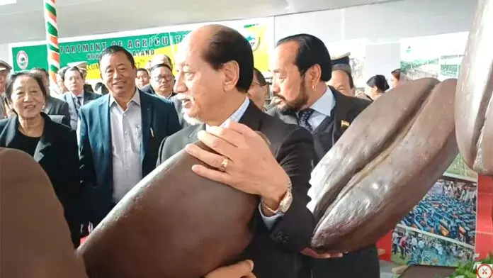 Nagaland: मुख्यमंत्री ने प्रदर्शनी स्टॉल का उद्घाटन किया