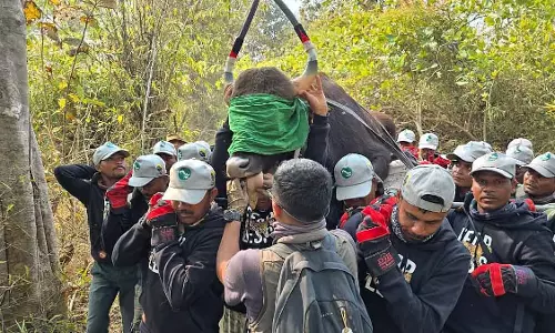 MP : गणतंत्र दिवस पर दूसरे चरण के खत्म होने पर 27 बाइसन को बांधवगढ़ में ट्रांसलोकेट किया गया MP : गणतंत्र दिवस पर दूसरे चरण के खत्म होने पर 27 बाइसन को बांधवगढ़ में ट्रांसलोकेट किया गया